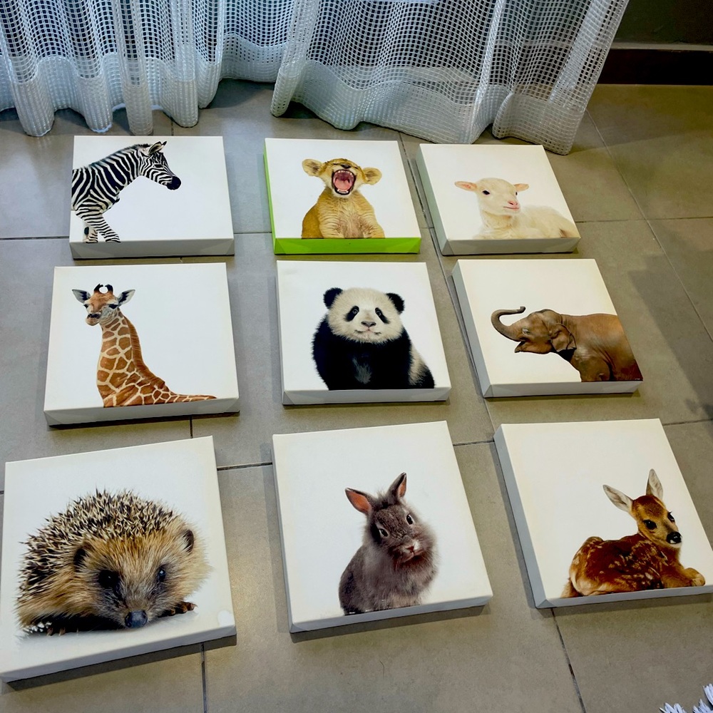 Baby animals canvas set. $3 each, $25 all